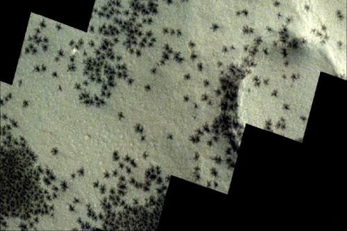 عکس مدارگرد مارس اکسپرس از لشکر عنکبوت ها روی مریخ!