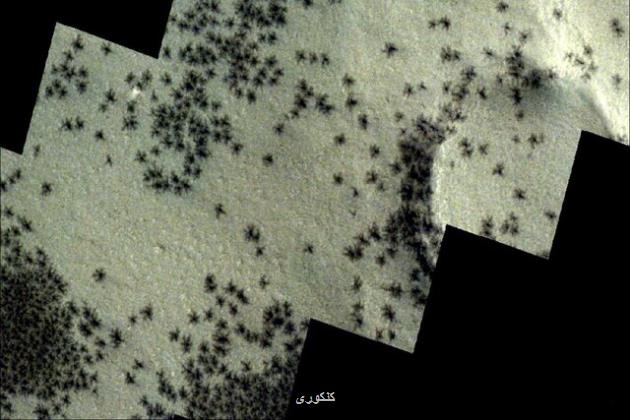 عکس مدارگرد مارس اکسپرس از لشکر عنکبوت ها روی مریخ!