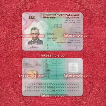 Pakistan Driver Licence Fake Template