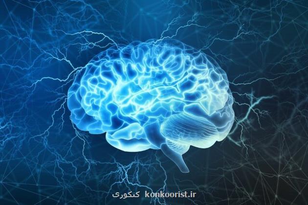 پاکسازی بهتر مغز، کلید روبرو شدن با زوال عقل