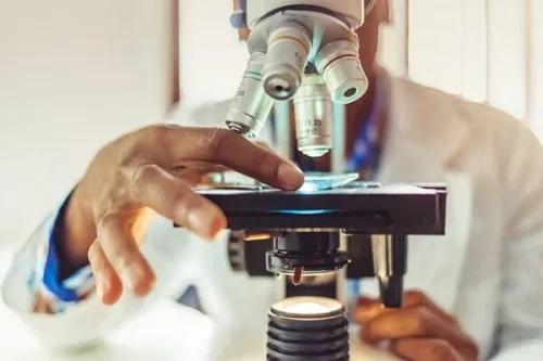 اعضای شورای سلامت، ایمنی و محیط زیست(HSE) دانشگاه منصوب شدند