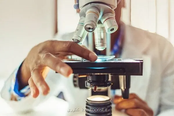 اعضای شورای سلامت، ایمنی و محیط زیست(HSE) دانشگاه منصوب شدند