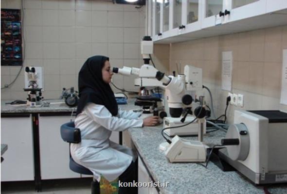 مزایای اجرای طرح پزشك پژوهشگر از زبان معاون وزیر بهداشت